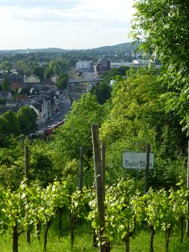 Busvermietung in Bonn
